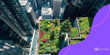 Urban farming initiatives: growing food in city landscapes