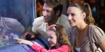 Guia Completo: Streaming de Doramas para Família na Netflix e Viki - Cover Image