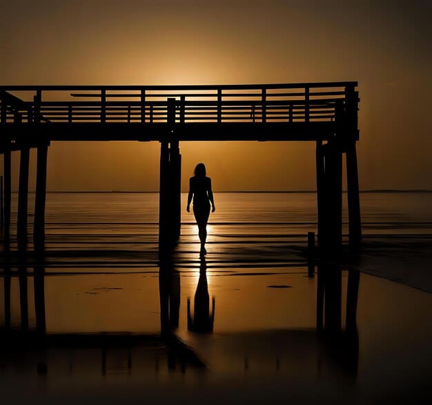 A solitary figure standing on a bridge, silhouetted against a sunset. The person appears to be deep in thought, and the setting evokes a sense of melancholy and reflection.