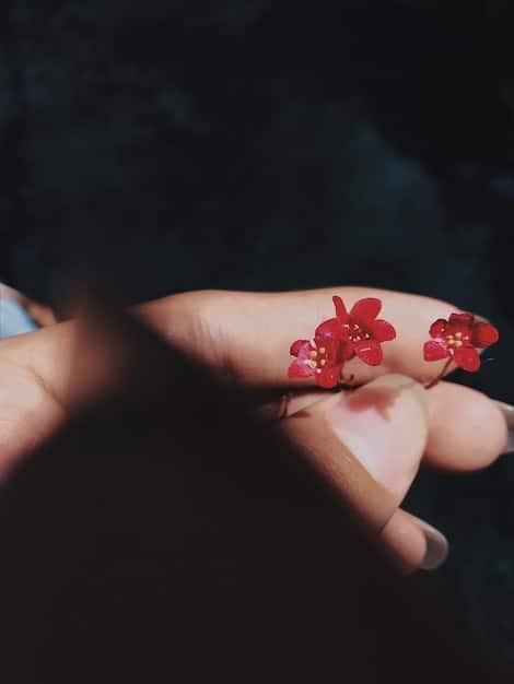 A close-up shot of Lee Ji-eun (IU) as Hae Soo in