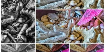 Doramas de Webtoon: 5 Adaptações Imperdíveis para TV e Streaming - Cover Image