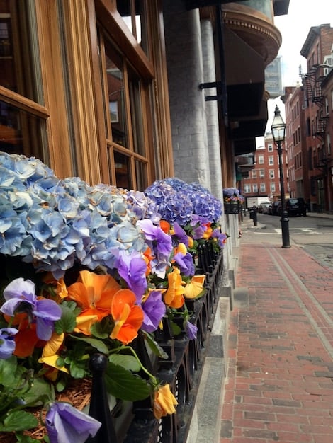 A cobblestone street in Quebec City, Canada, lined with historic buildings adorned with colorful flowers. A couple walks hand-in-hand in the foreground, creating a romantic and picturesque scene reminiscent of the dorama